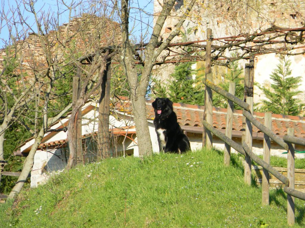 セッレ・ディ・ラポラーノ Agriturismo Podere La Selvaヴィラ エクステリア 写真