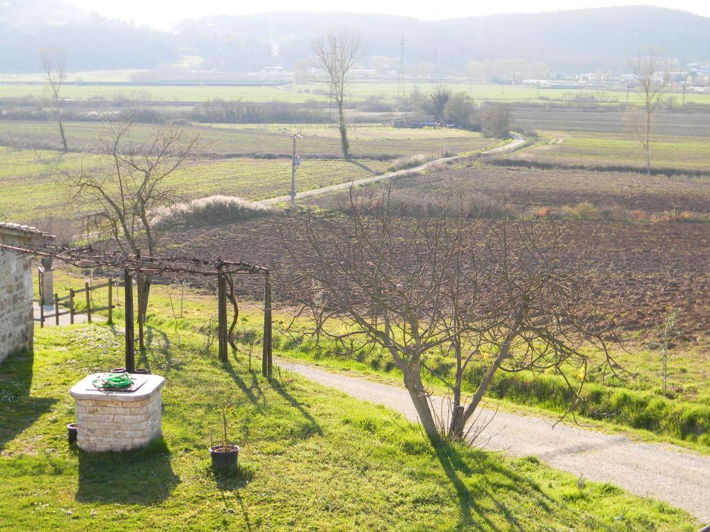 セッレ・ディ・ラポラーノ Agriturismo Podere La Selvaヴィラ エクステリア 写真