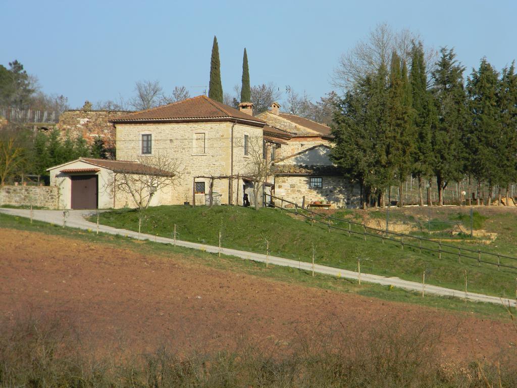 セッレ・ディ・ラポラーノ Agriturismo Podere La Selvaヴィラ エクステリア 写真