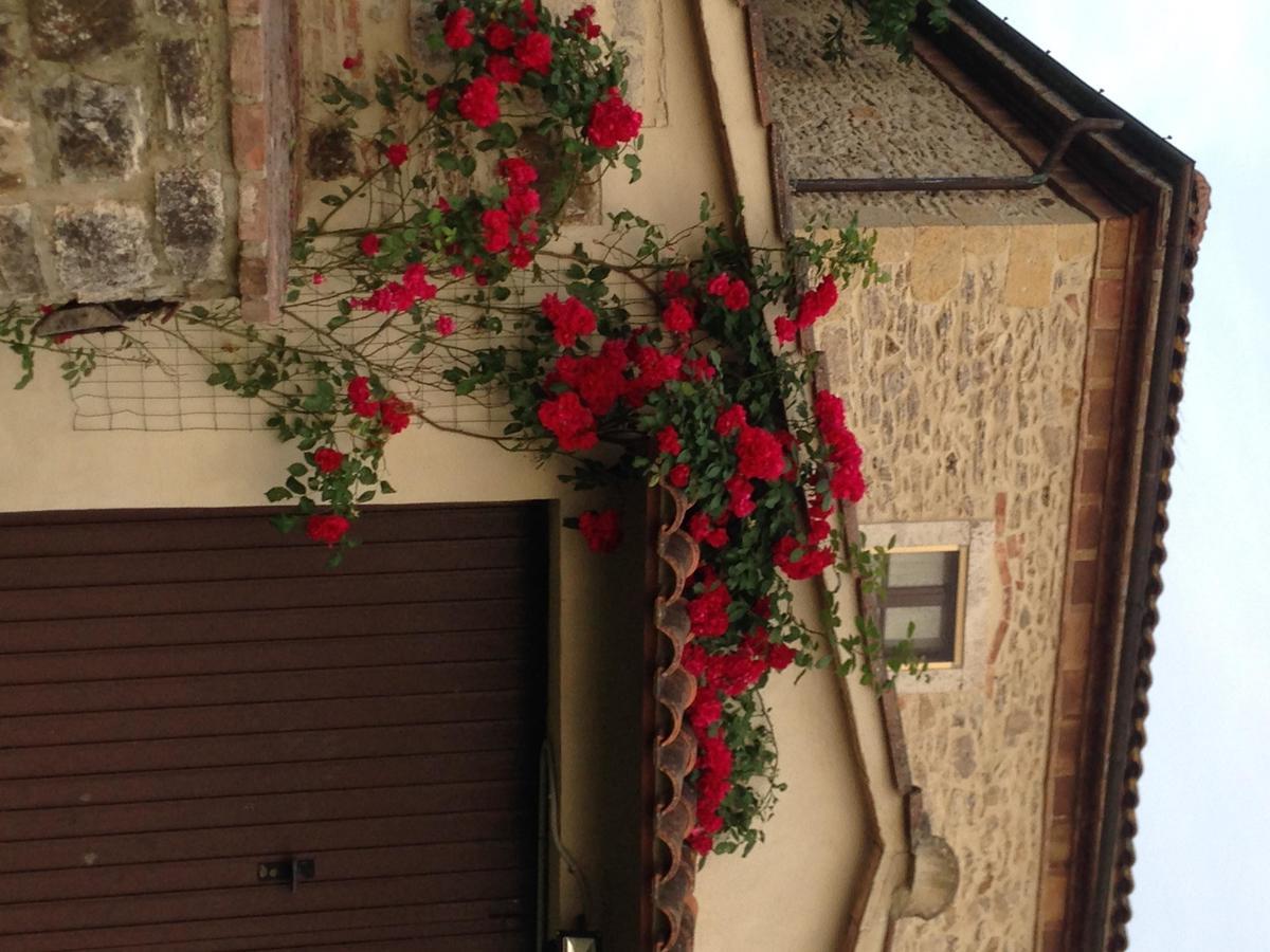 セッレ・ディ・ラポラーノ Agriturismo Podere La Selvaヴィラ エクステリア 写真